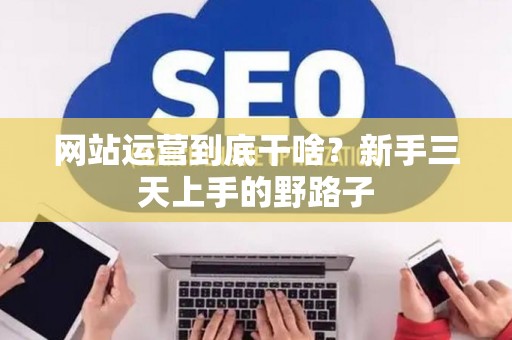 网站运营到底干啥？新手三天上手的野路子